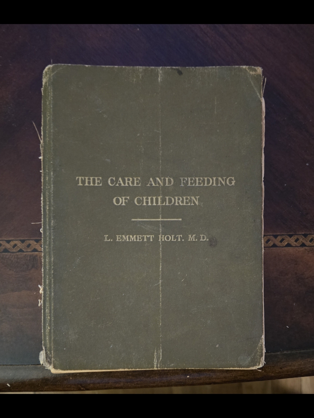 ANTIQUE BOOK - The Care and Feeding of Children by L. Emmett Holt M.D.